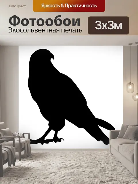 Фотообои Силуэт сокола