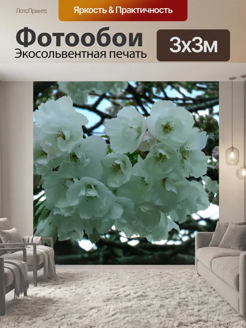 Фотообои Cherry Blossom Цветы