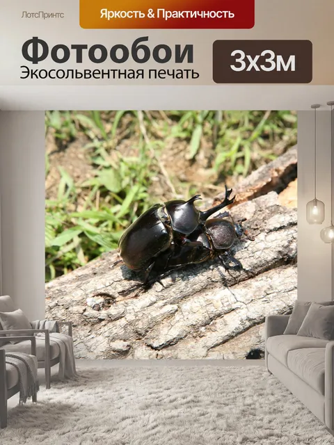 Фотообои Насекомые