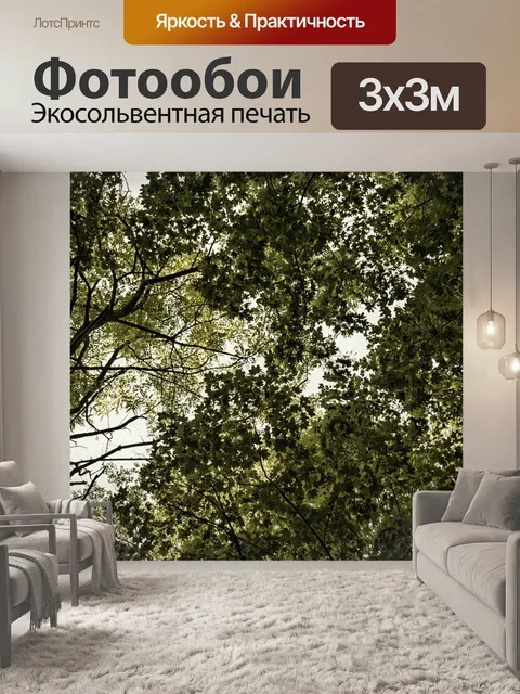 Фотообои Лес