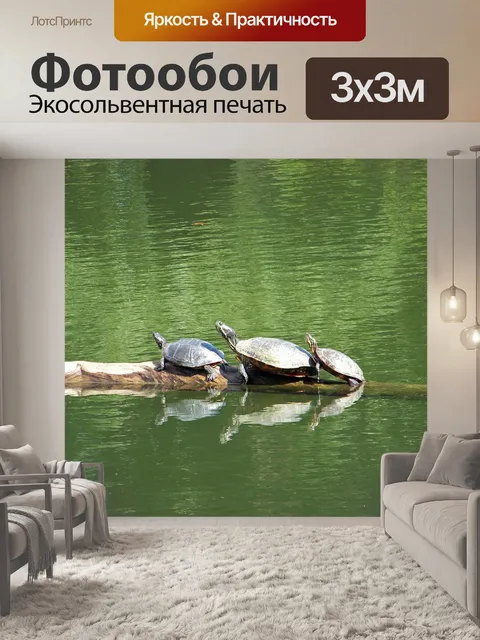 Фотообои Черепаха