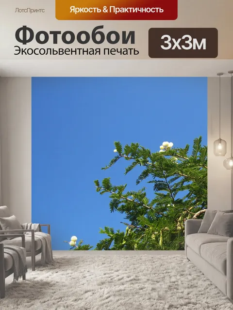Фотообои дерево акации с белыми цветами