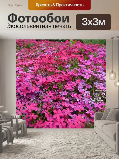 Фотообои Цветочный ковер