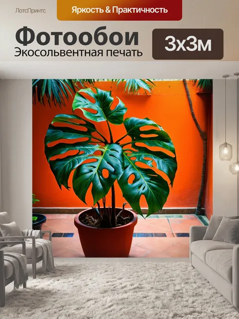 Фотообои красивое изображение монстеры на фоне внутреннего дворика с яркими цветами и текстурами