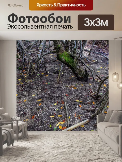 Фотообои Мангровые леса, Трат, Таиланд