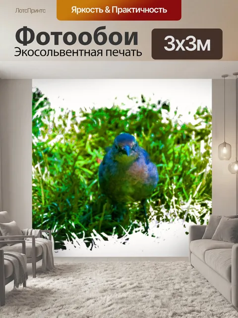 Фотообои Синяя птица
