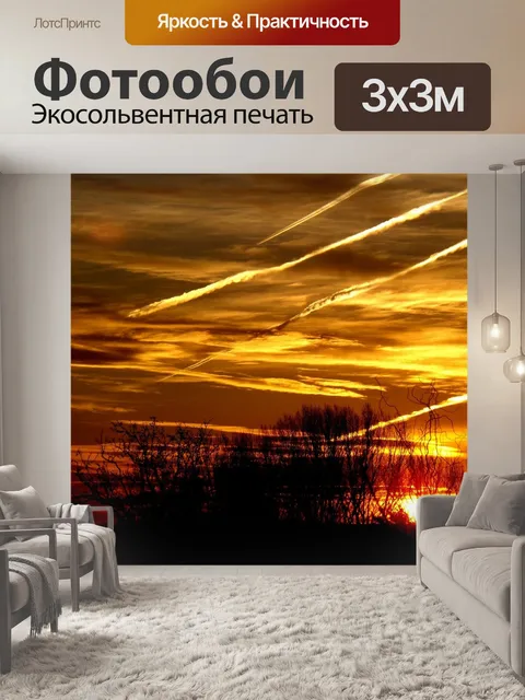 Фотообои Поднялся