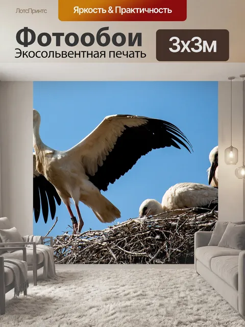 Фотообои Аист