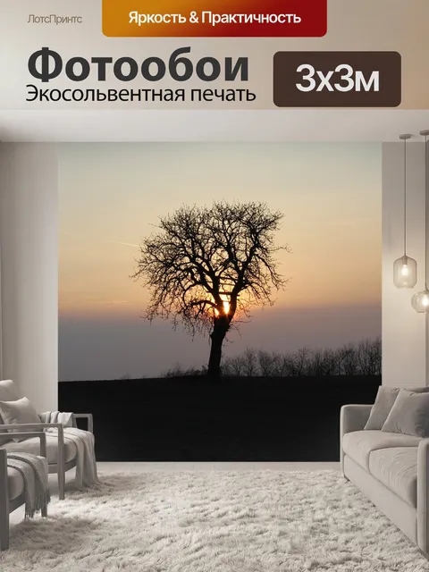 Фотообои Рассвет