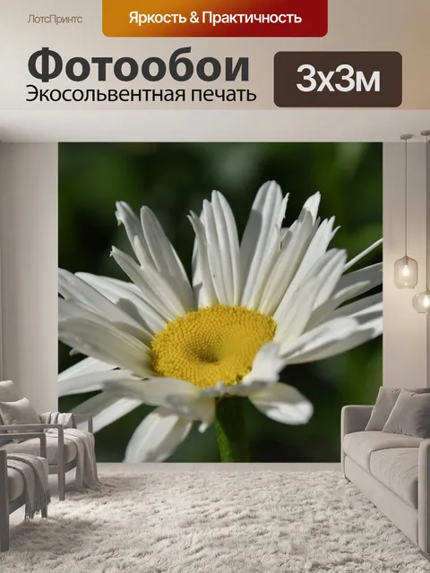 Фотообои Цветок