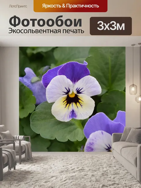 Фотообои Фиолетовые анютины глазки