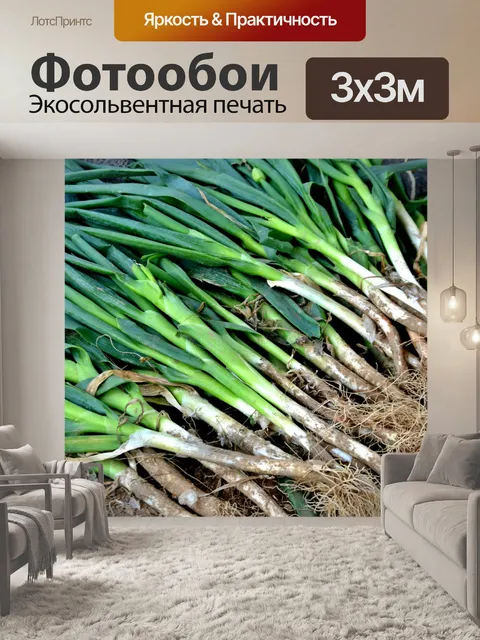 Фотообои Свежий лук