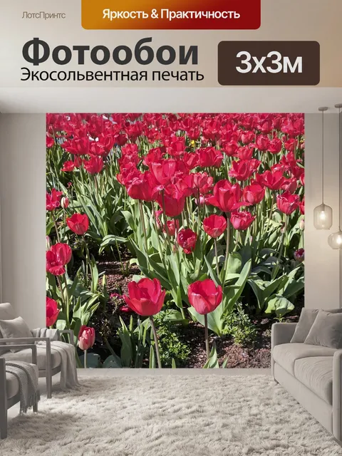 Фотообои Красные тюльпаны Фон