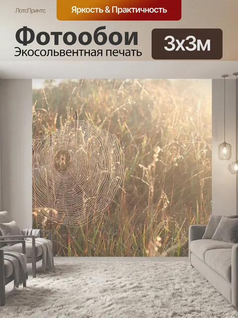 Фотообои Паутина