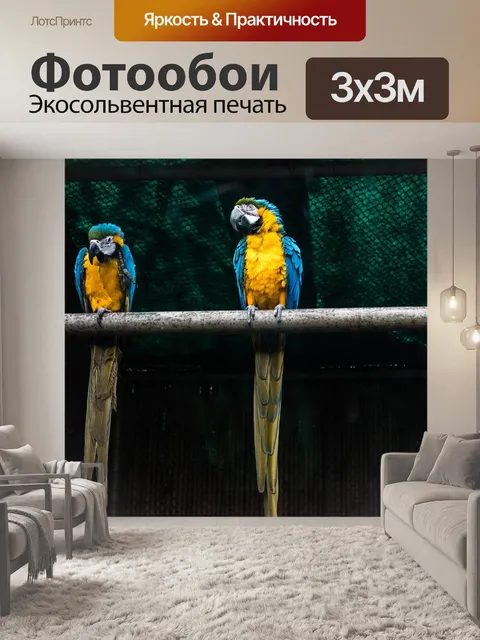 Фотообои Попугаи ара