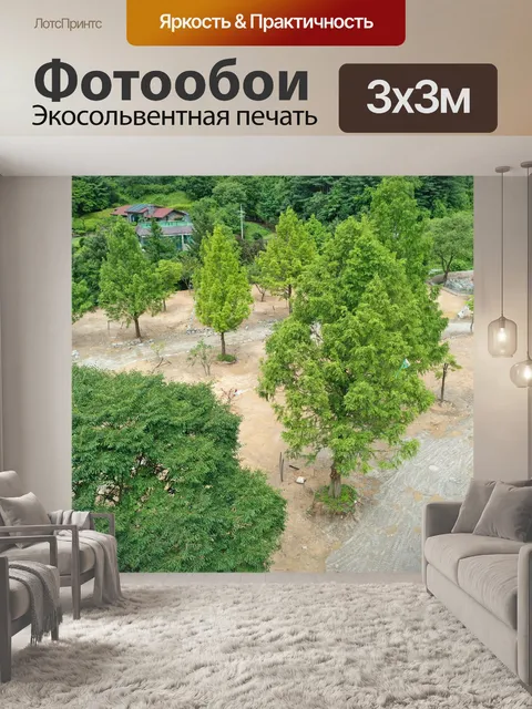 Фотообои Деревья