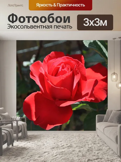 Фотообои Розовый