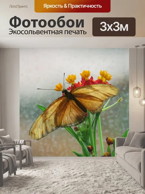 Фотообои Бабочка