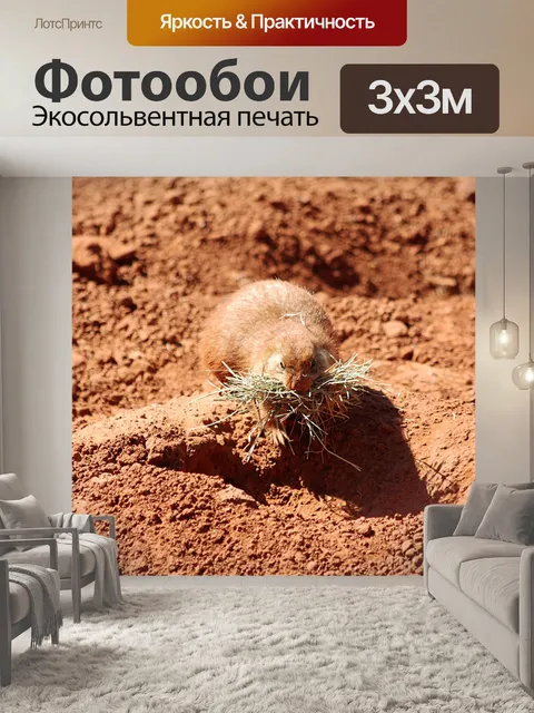 Фотообои Престижное гнездо для собак