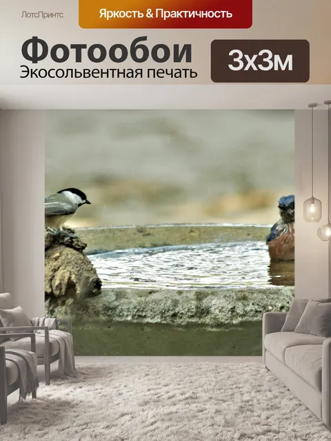 Фотообои Синица и синяя птица в птичьей бане