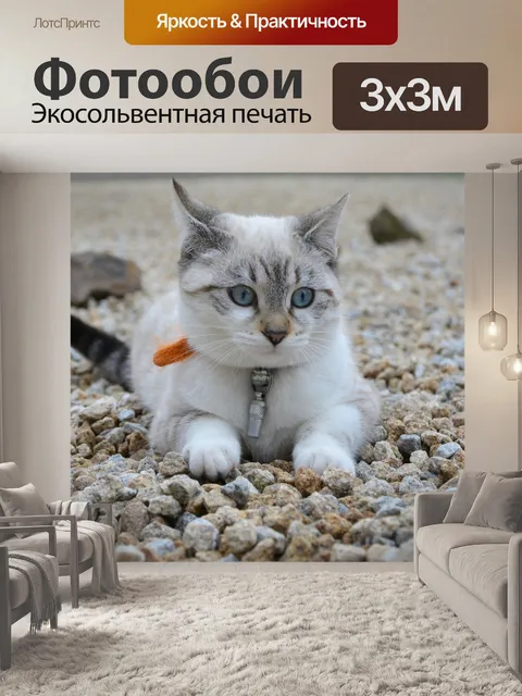 Фотообои Кошка