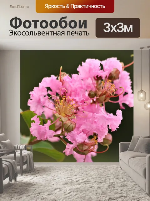 Фотообои Розовый креп Мирт Блум крупным планом