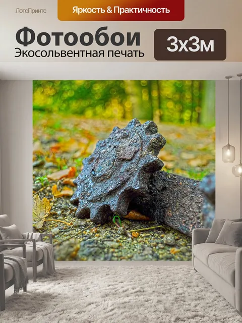 Фотообои Hdr