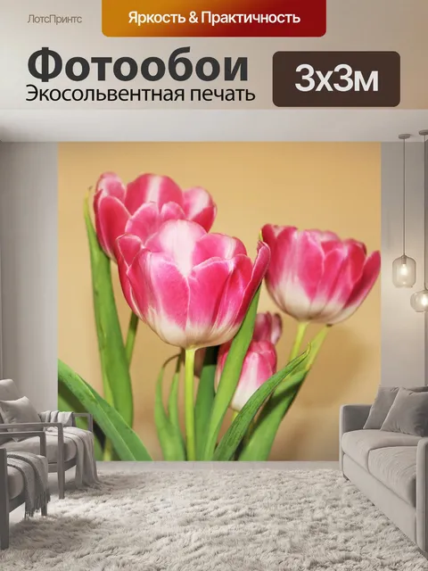Фотообои Розовые и белые тюльпаны на желтом
