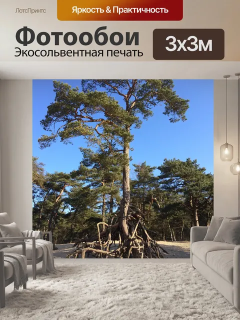 Фотообои Дерево