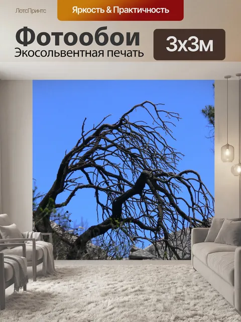 Фотообои Мертвое дерево на вершине горы