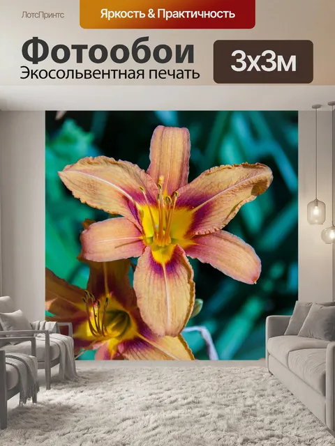 Фотообои Лилии