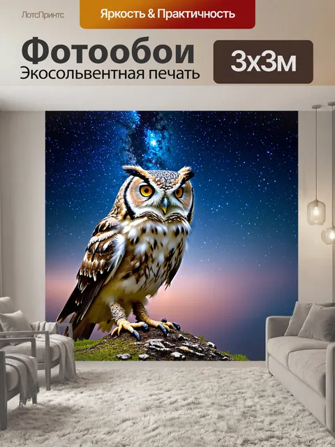 Фотообои сова, смотрящая на звёздное небо с высоким холма