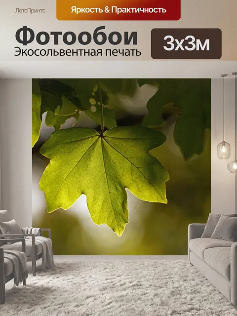 Фотообои Зеленый лист