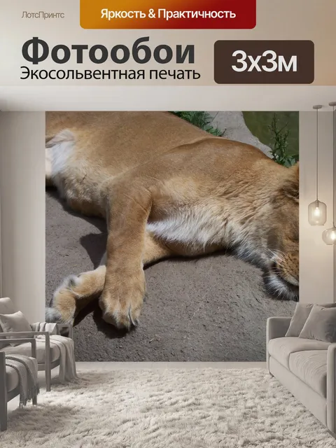 Фотообои Лев