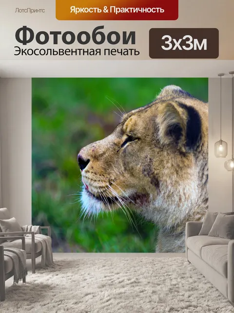 Фотообои Львица