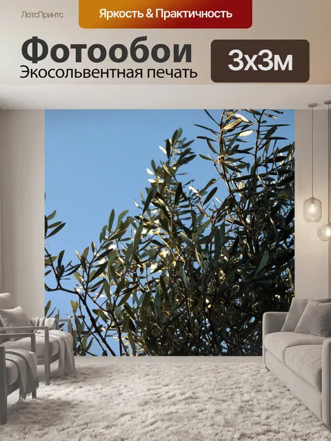 Фотообои солнечный свет на листьях оливкового дер