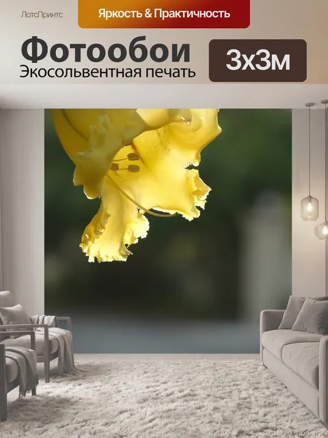 Фотообои Золотой кубок цветок