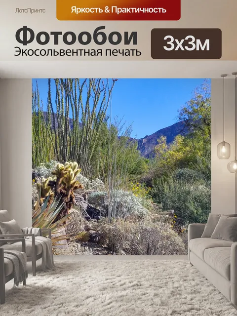 Фотообои Пейзаж пустыни