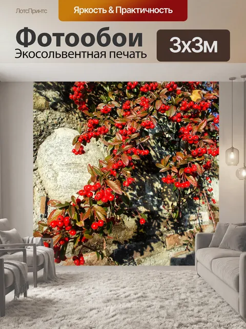 Фотообои Стены и ягоды