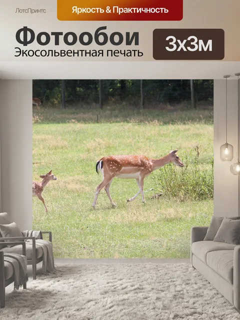Фотообои Олень