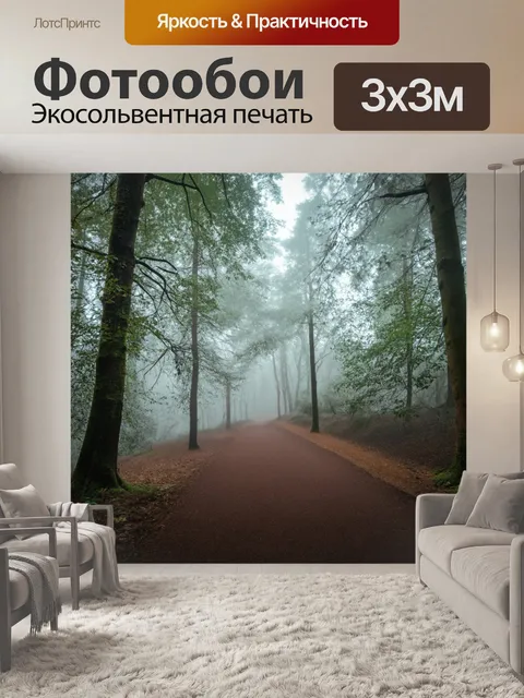 Фотообои лес с утренним туманом, лесные тропы, окутанные мягким белым дымом