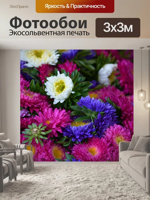 Фотообои Астры