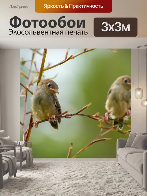 Фотообои Пение