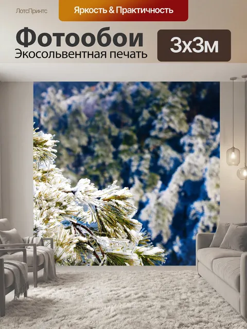 Фотообои Снежная сцена