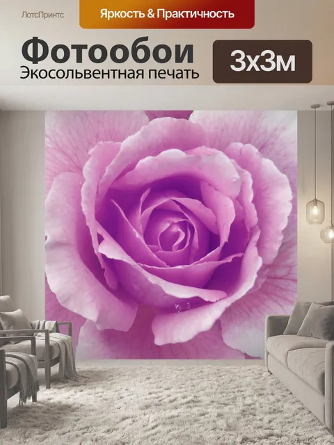 Фотообои Розовый цветок розы