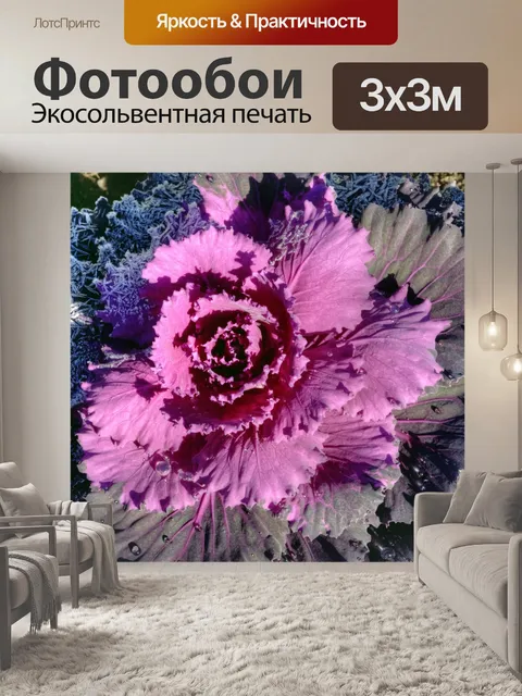 Фотообои Матовая капуста