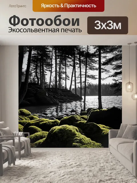 Фотообои глубокий лес на побережье ладоги, снятый в технике черно-белой фотографии