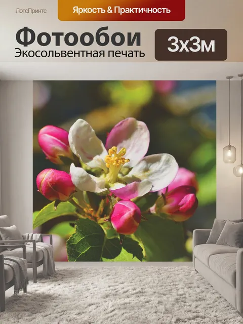 Фотообои Цветение яблони
