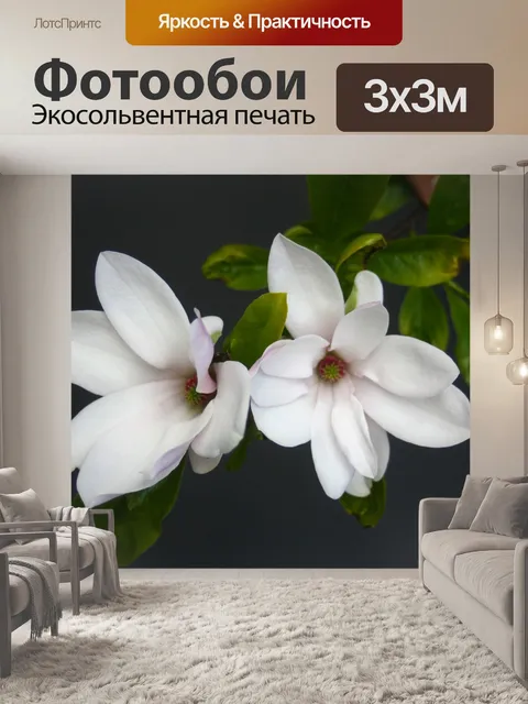 Фотообои Магнолия
