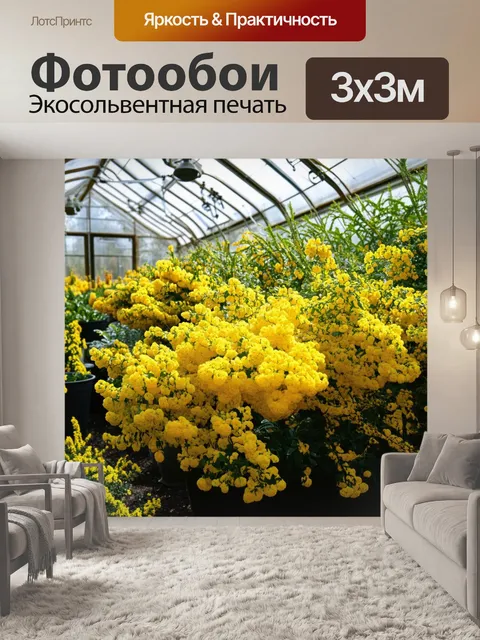 Фотообои зимний сад в оранжерее, где мимозы цветут как радость среди холодного пейзажа